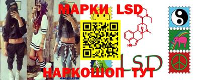 индика Гусев