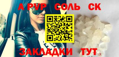 индика Гусев