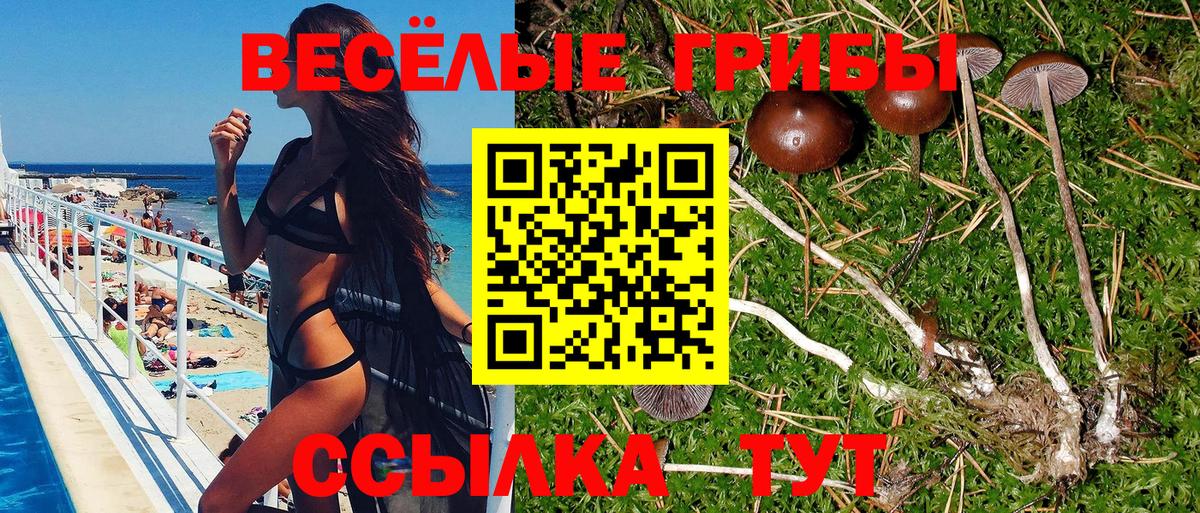 Галлюциногенные грибы Cubensis Новороссийск
