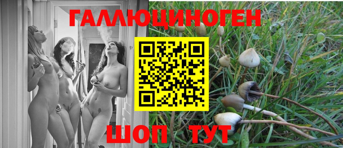 Псилоцибиновые грибы мицелий  Галлюциногенные грибы Psilocybe  Вход с VPN  Новороссийск 